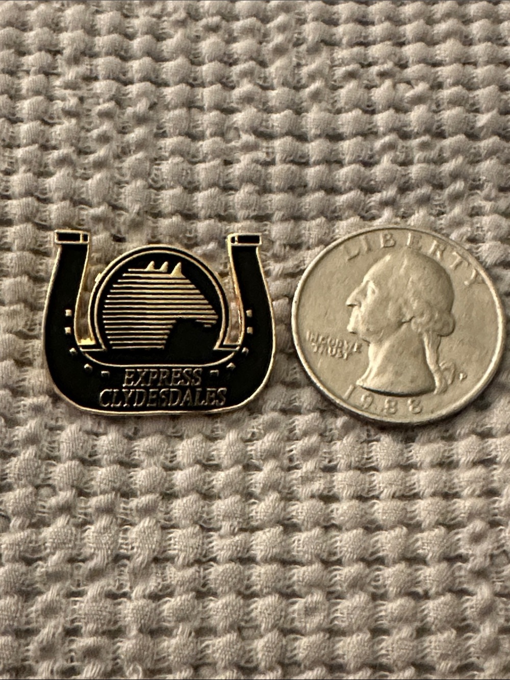 Express Clydesdale Pin - Picture 3 of 3